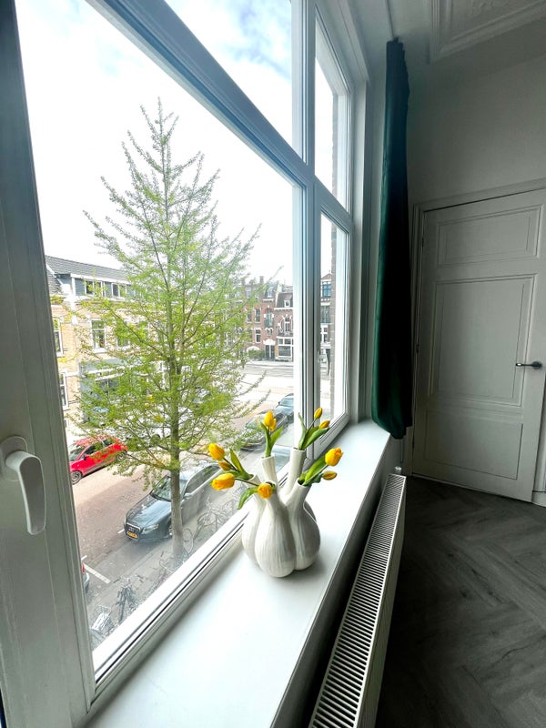 Insulindestraat 289, Rotterdam