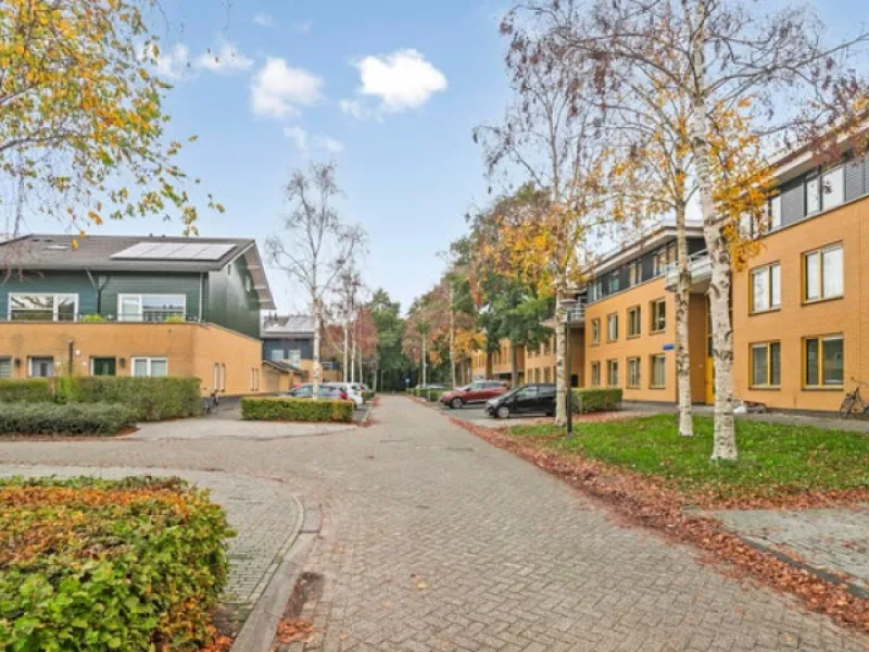 homes for rent on Voorjaarstraat