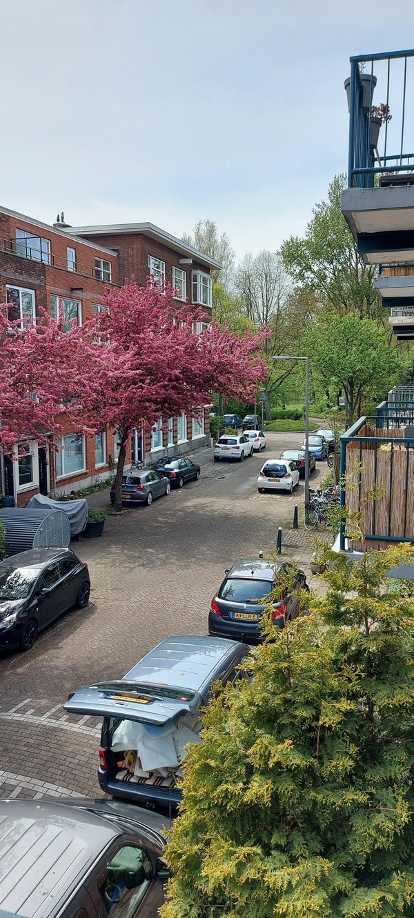 Cleyburchstraat 53, Rotterdam