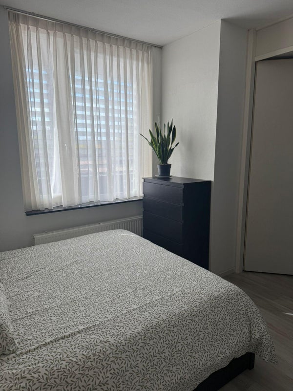 Ringbaan-Noord , Tilburg