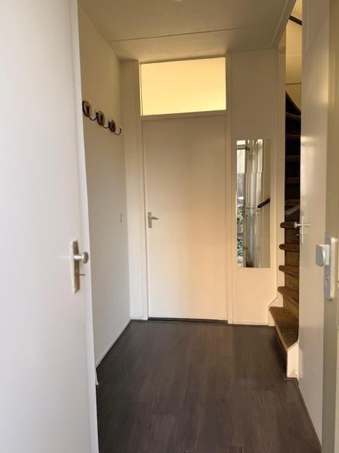 Molenwerf 3, Terneuzen