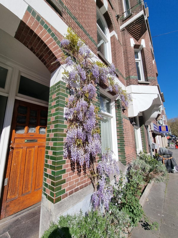 Admiraal De Ruijterweg 52, Amsterdam