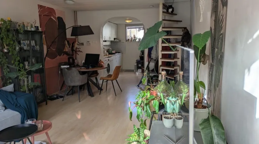 Gedempte Nieuwesloot 0, Alkmaar