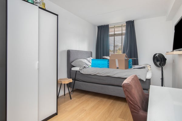 Grote Berg , Eindhoven