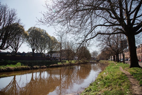 Tramsingel 92, Breda