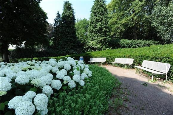 Gardiaanhof 47, Tilburg