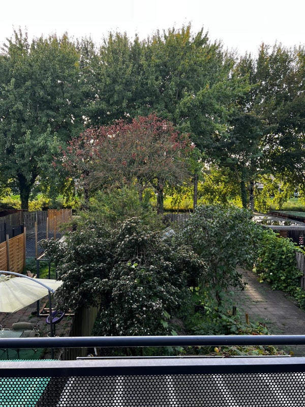 Zuylesteinstraat 21, Almere