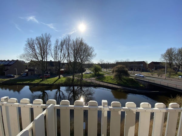 Friesburg 24, Leeuwarden