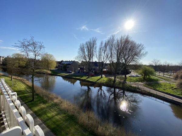 Friesburg 24, Leeuwarden