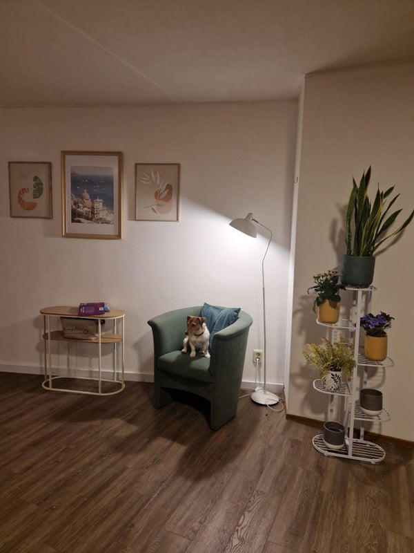 Saenredamstraat 1, Eindhoven