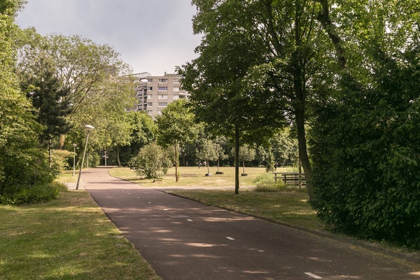 Groenhoven 528, Amsterdam