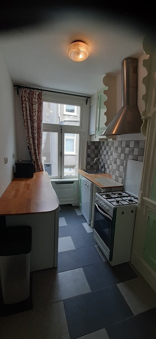 Govert Flinckstraat 113, Amsterdam