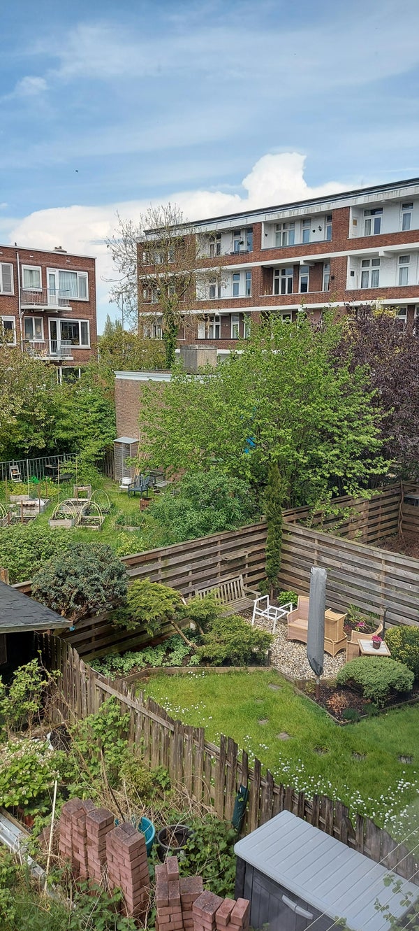 Cleyburchstraat 53, Rotterdam