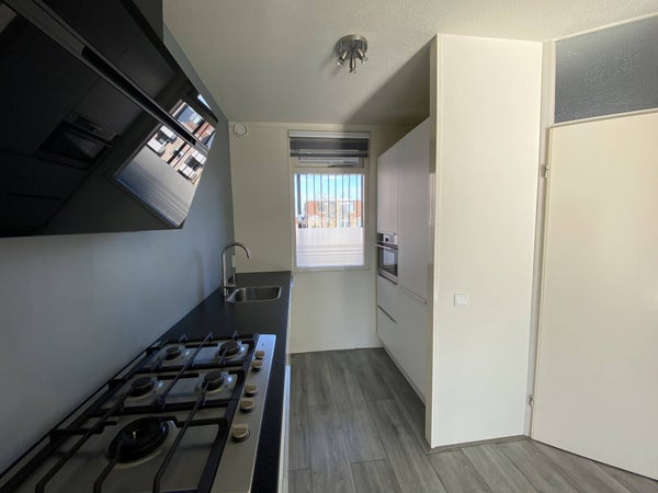 Friesburg 24, Leeuwarden