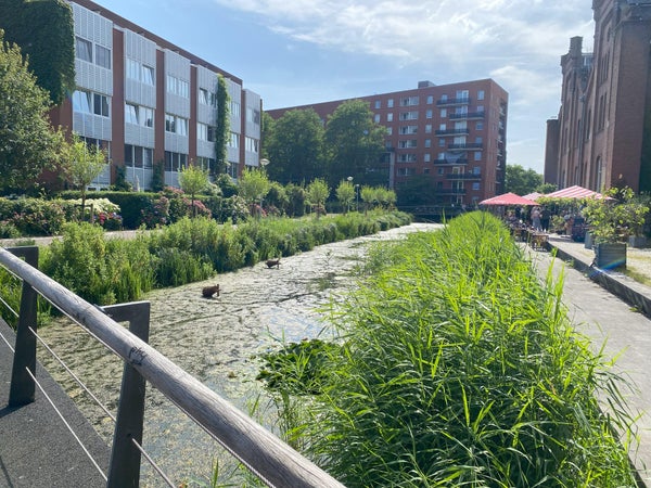 Haarlemmerweg 245, Amsterdam