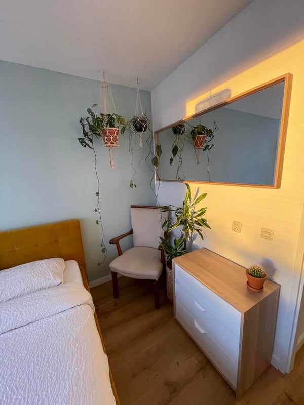 Hildebrandstraat , Amsterdam