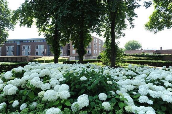 Gardiaanhof 47, Tilburg