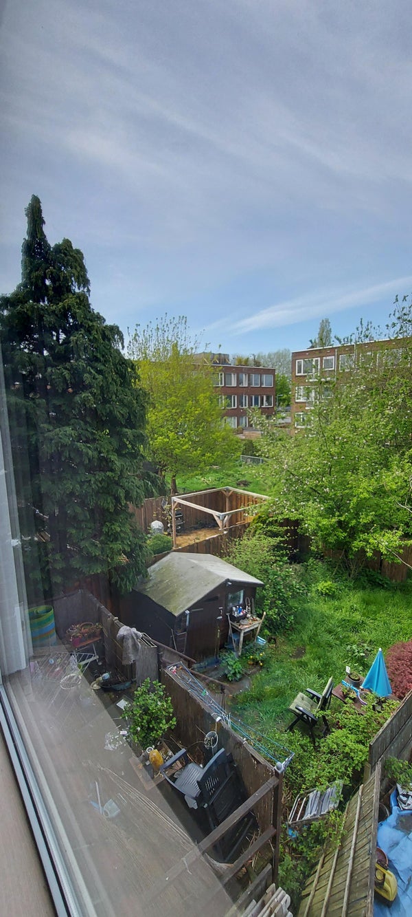 Cleyburchstraat 53, Rotterdam