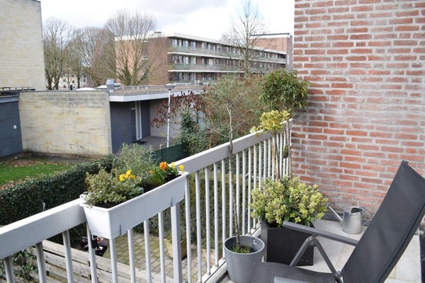 Dokter van Kleefstraat 32, Maastricht