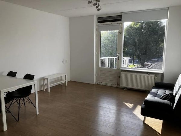 Rupelmonde , Amsterdam