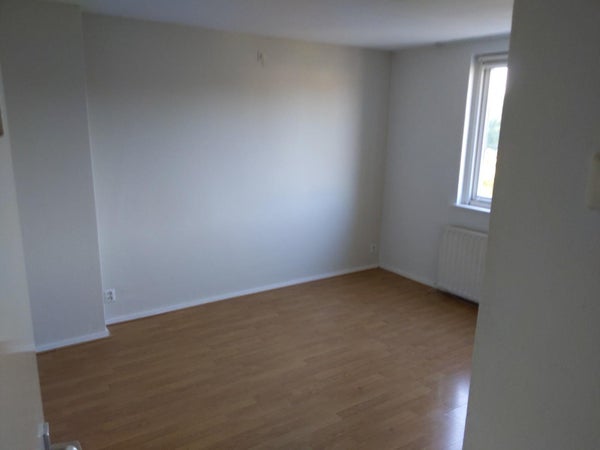 studios te huur op Alleenhouderstraat 75