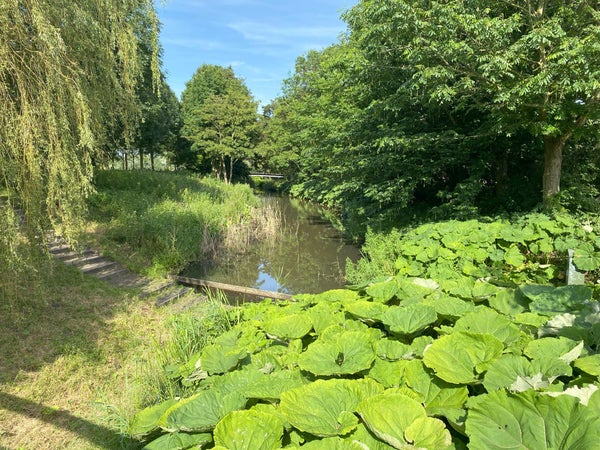 Haarlemmerweg 245, Amsterdam